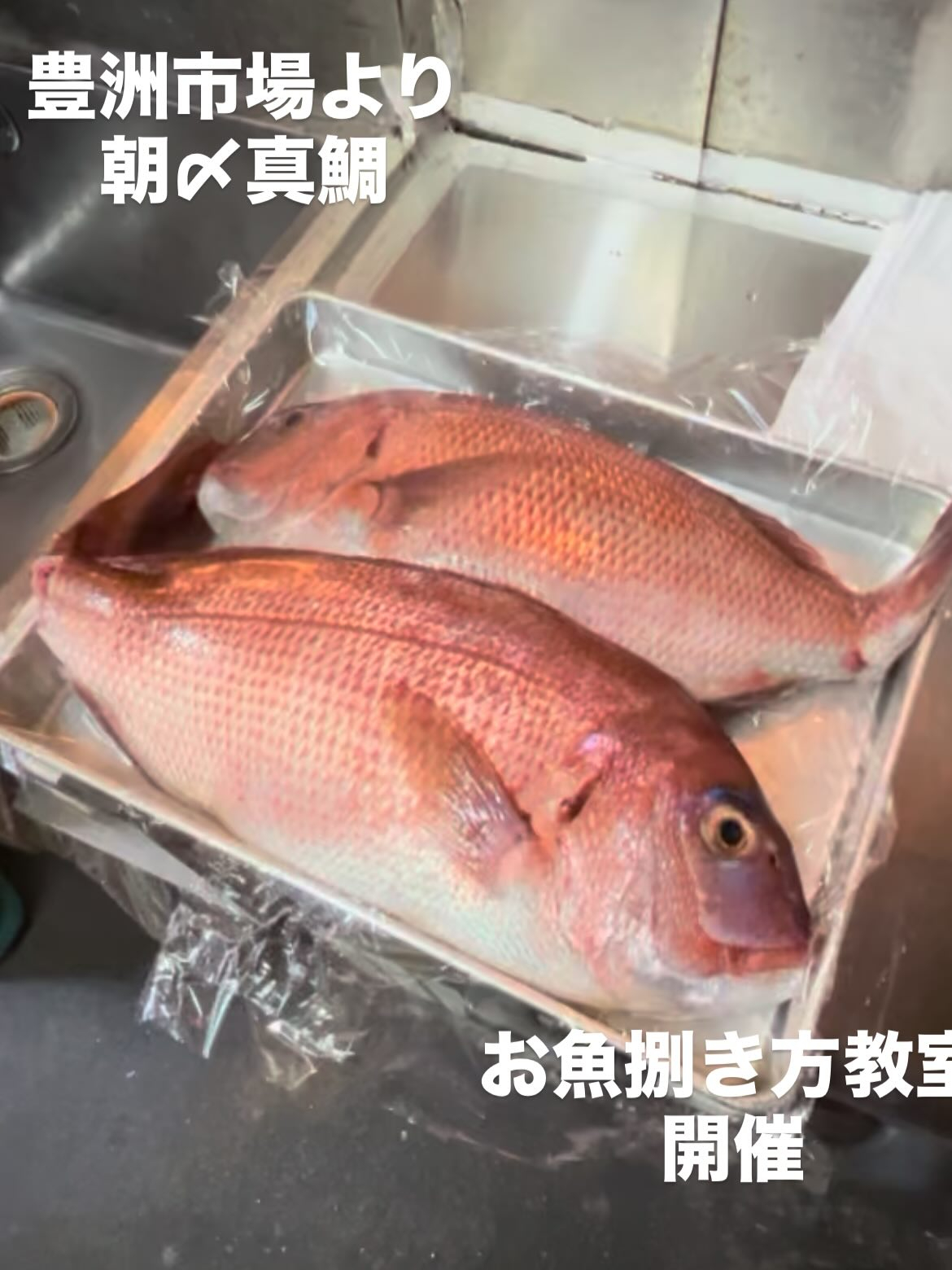 【あらためまして🙇🏻‍♂️】