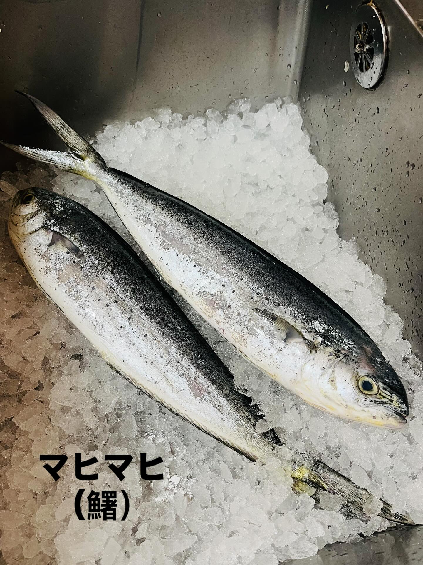 【寒いですね🥶】