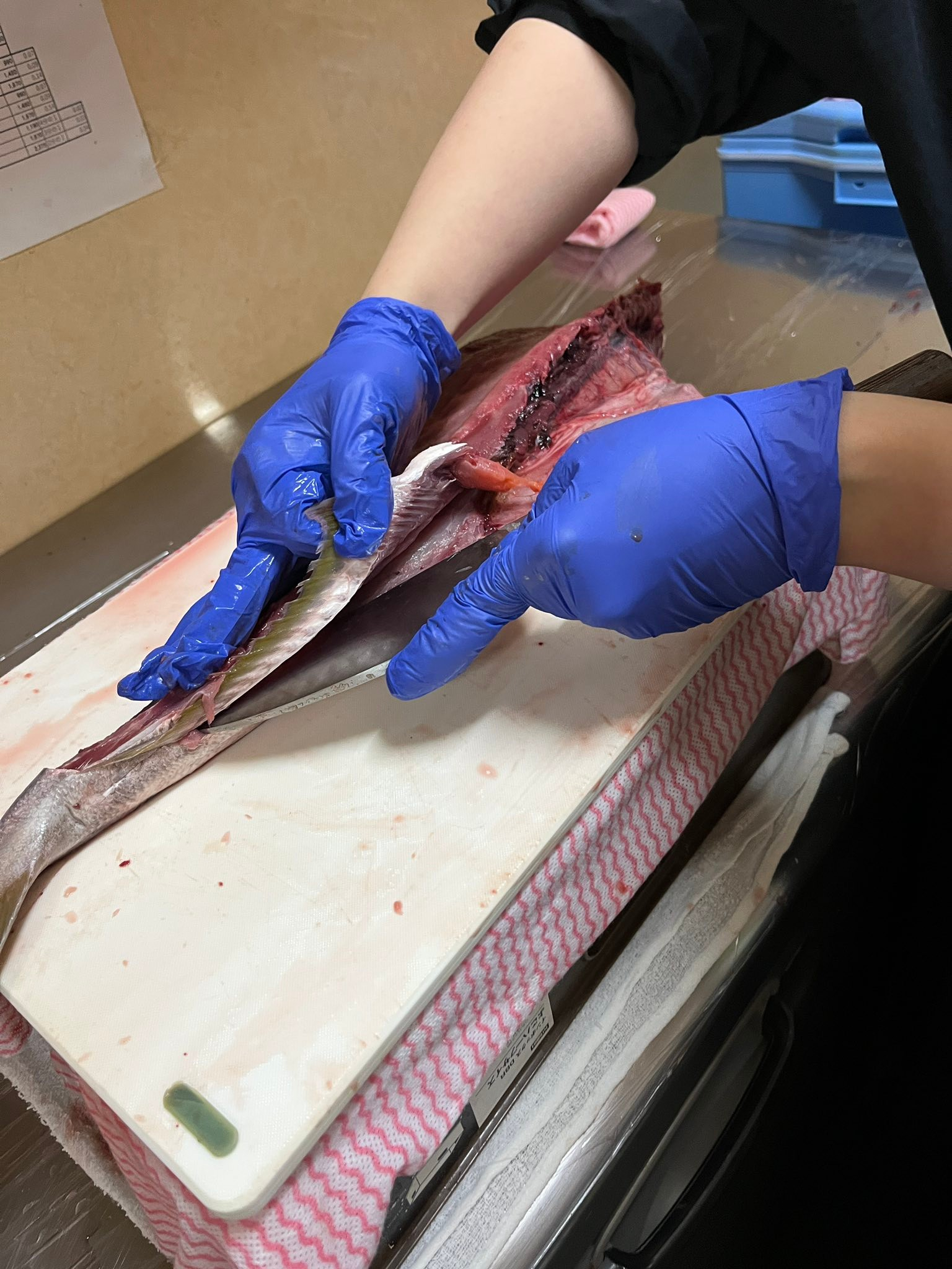 【お魚捌き方教室•••】