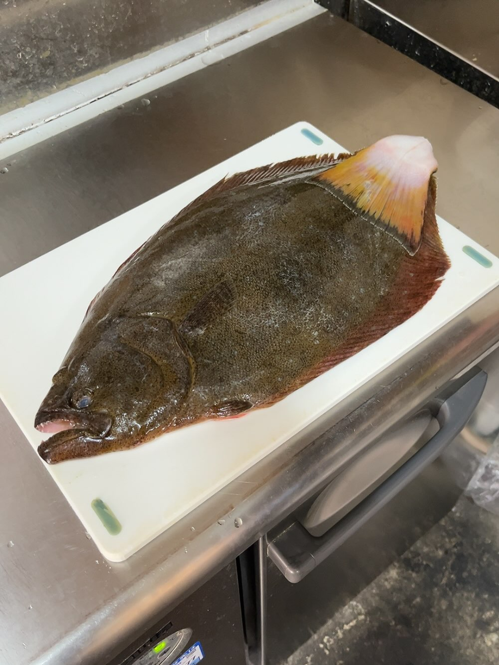 寒・・・？（どんぶり屋まぐろ大将）