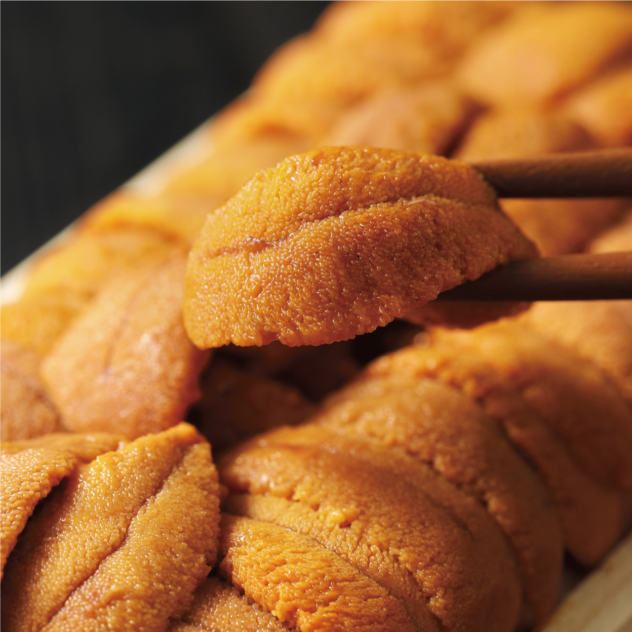 冬をイメージする寿司ねたは・・・（どんぶり屋まぐろ大将）