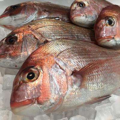 ”旬な週末限定丼”（どんぶり屋まぐろ大将）