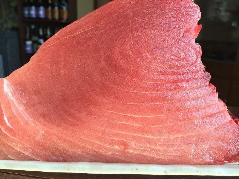 4月上旬から期間限定販売予定です(どんぶり屋まぐろ大将)