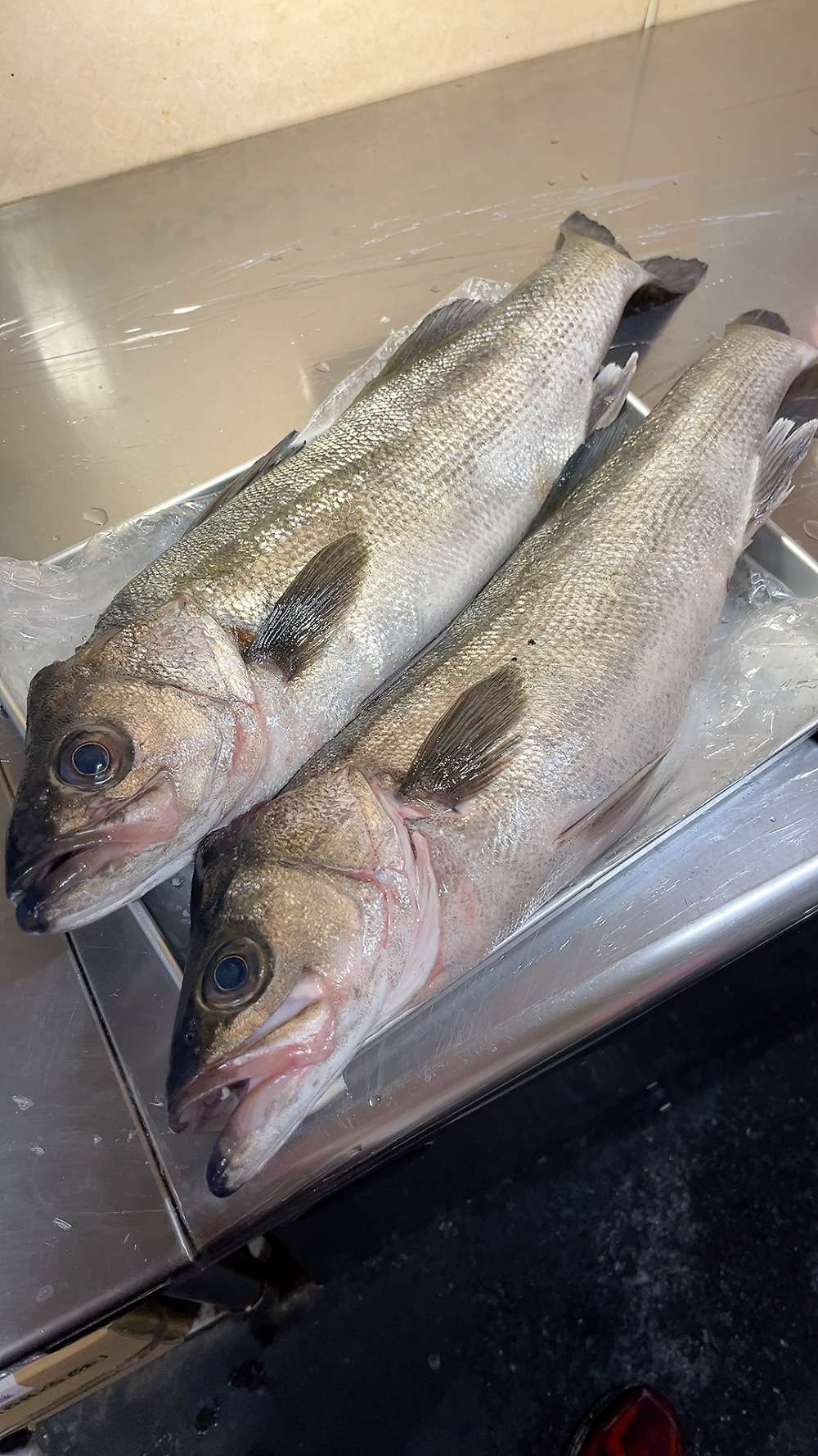 ★お魚捌き方教室開催しました！★（どんぶり屋まぐろ大将）