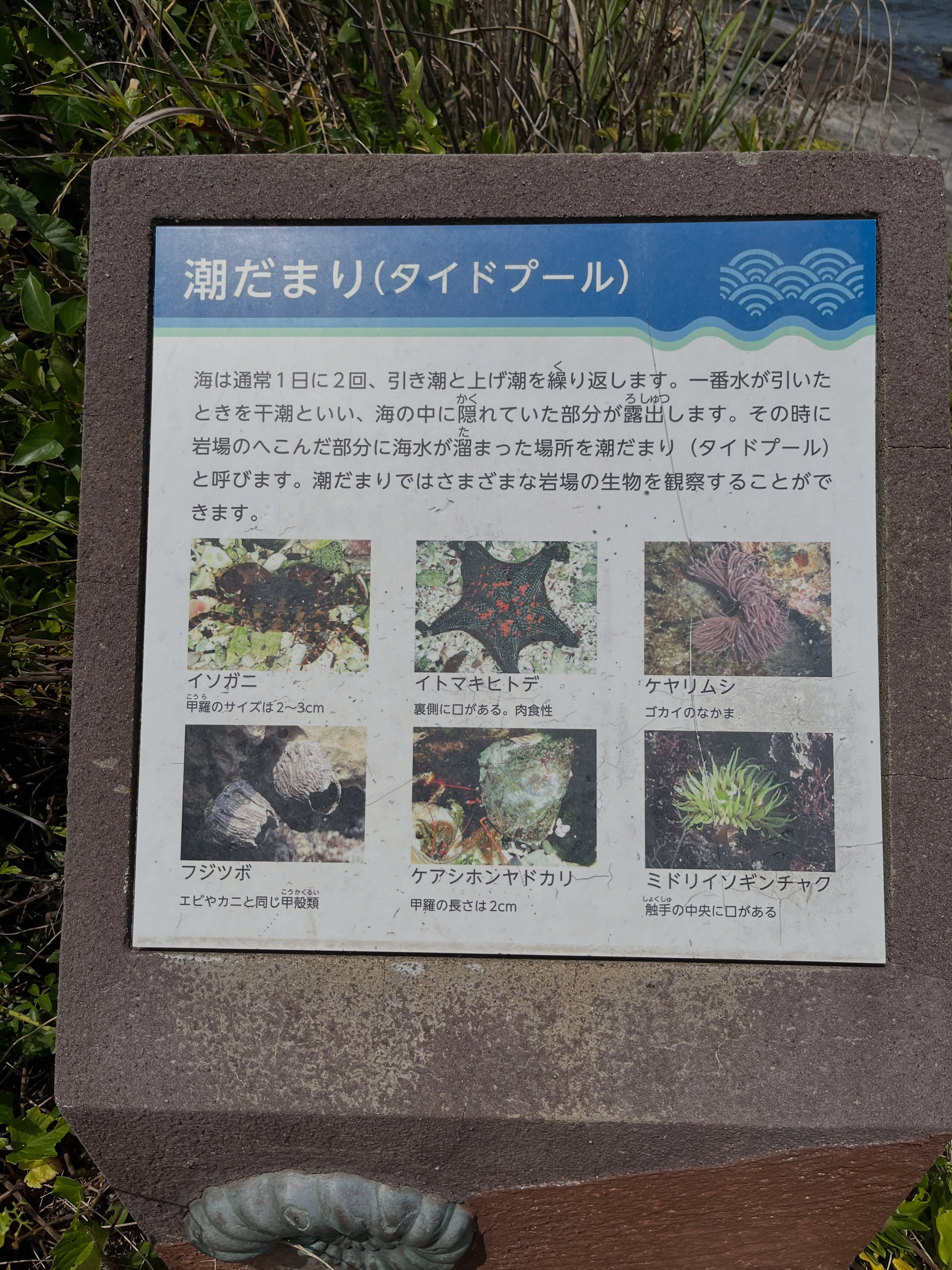 【孫のリクエストその2】