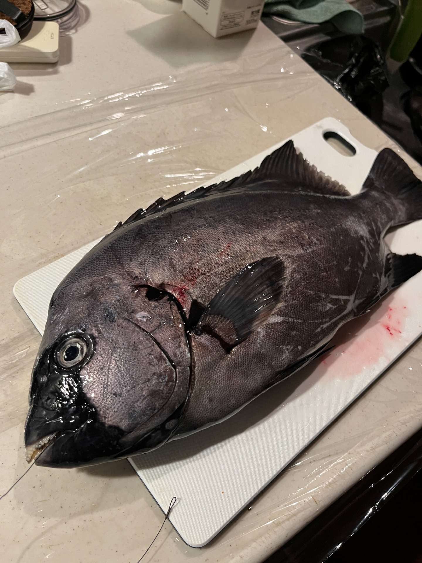 ★週末限定丼は三崎の白身魚か?★(どんぶり屋まぐろ大将)