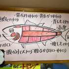 ★まぐろの部位について★