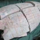 どんぶり屋まぐろ大将のまぐろは・・・（どんぶり屋まぐろ大将）