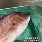 お魚捌き方教室