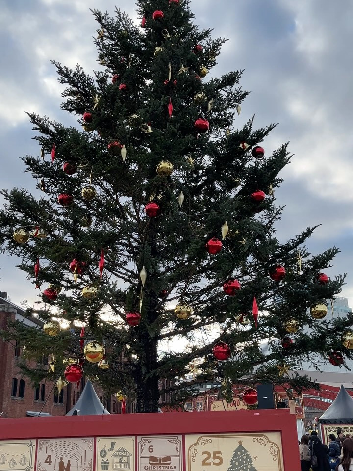 【神様からのクリスマスプレゼント】
