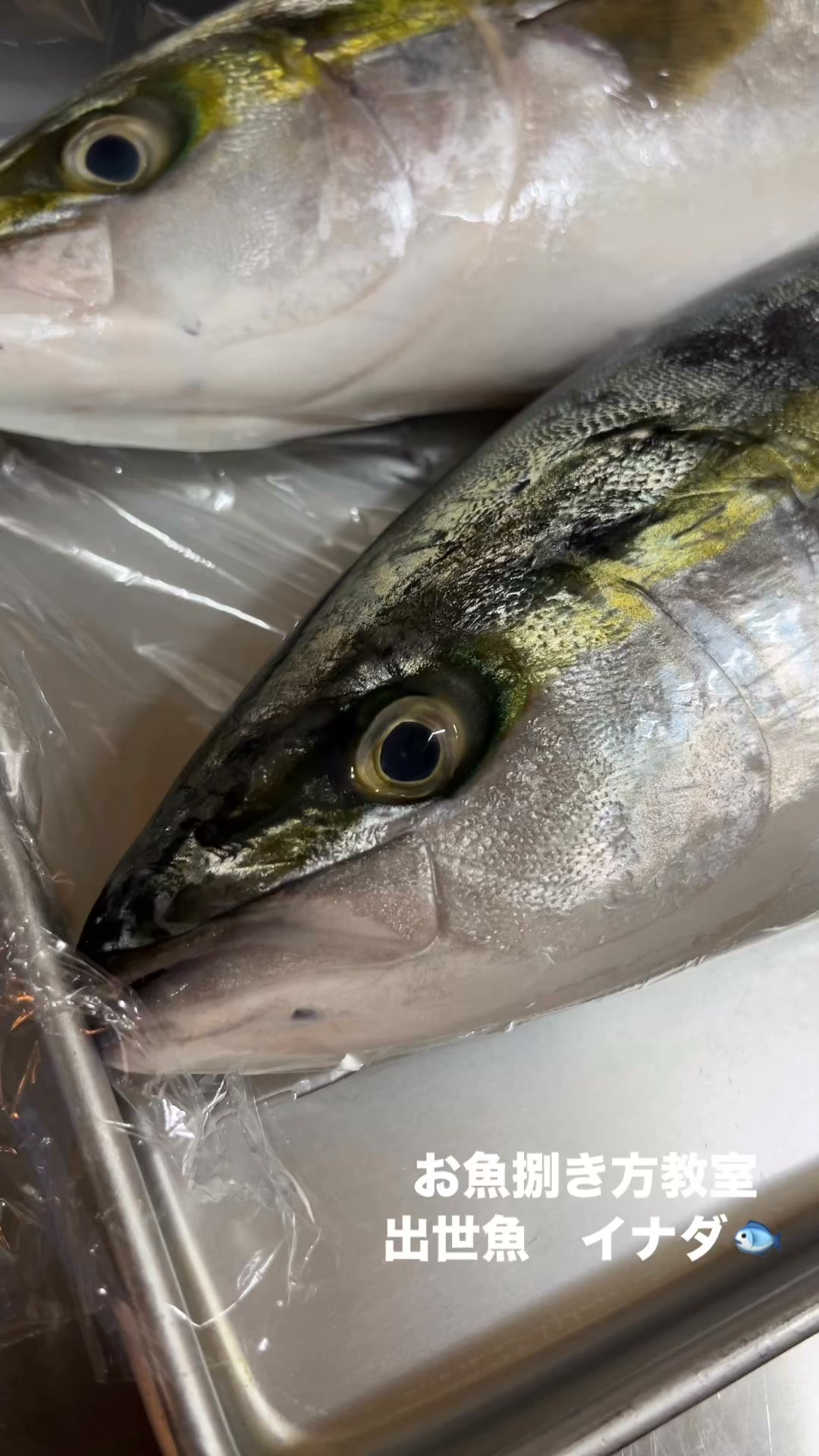 お魚捌き方教室で