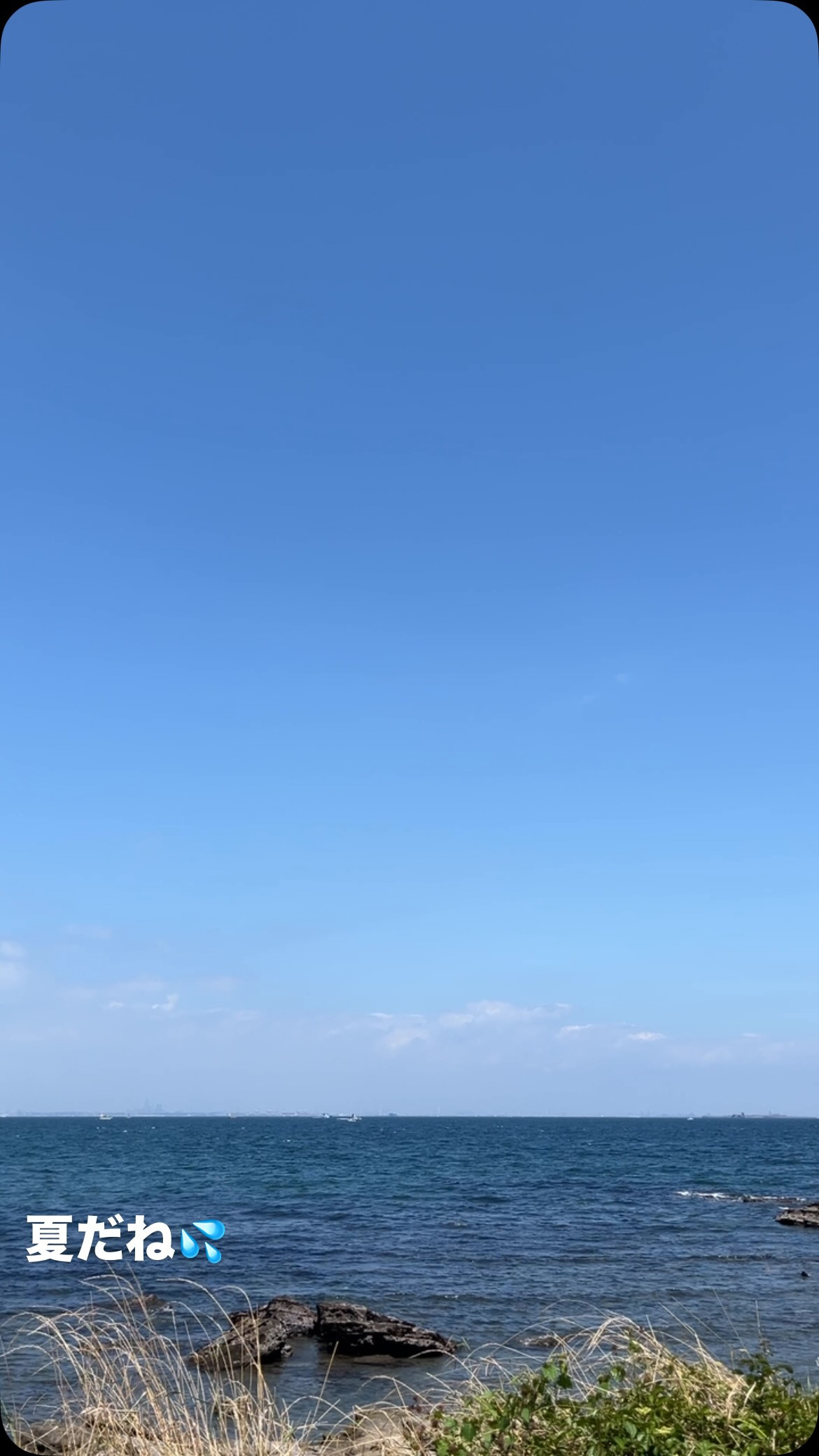夏だね💦