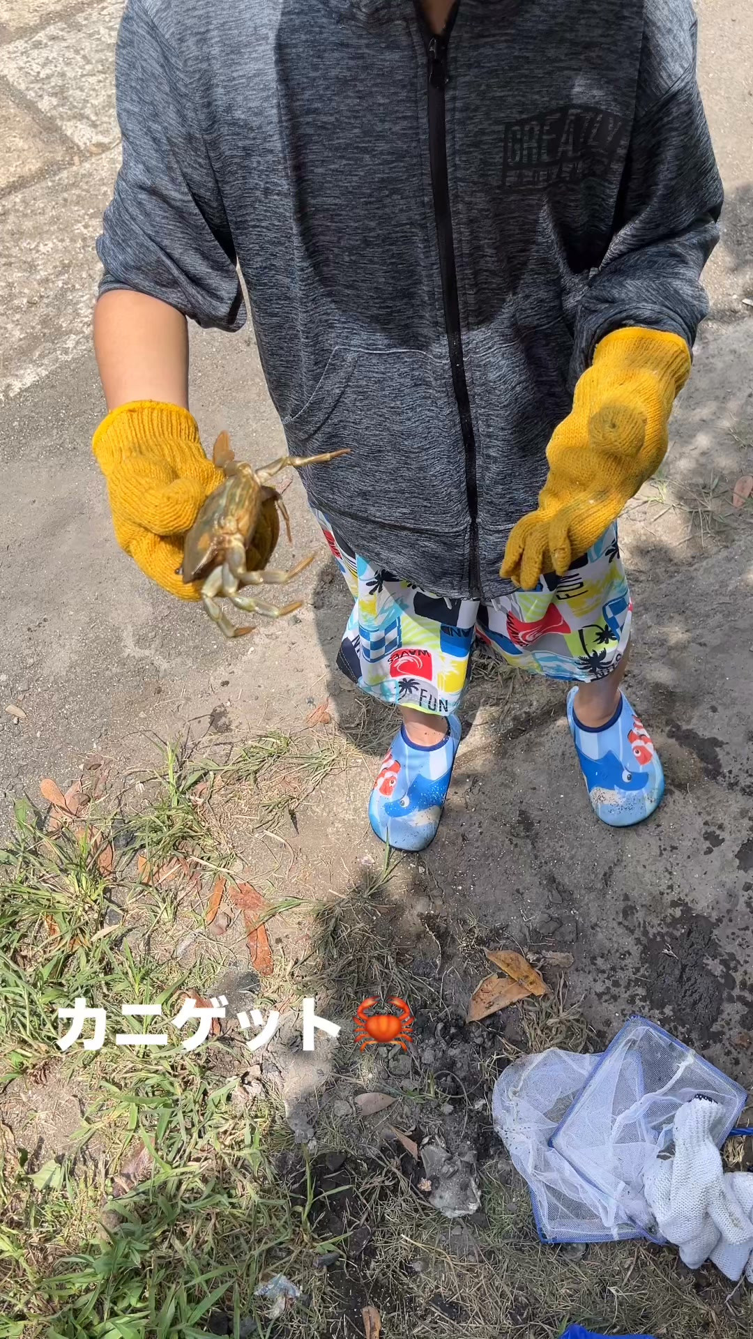 今年もカニ獲りに観音崎へ