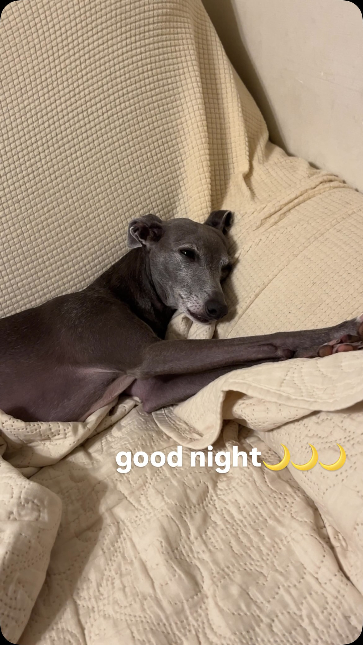 good night