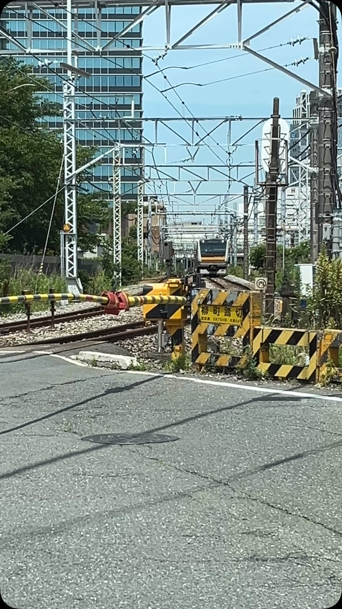 いつの日か忘れた
