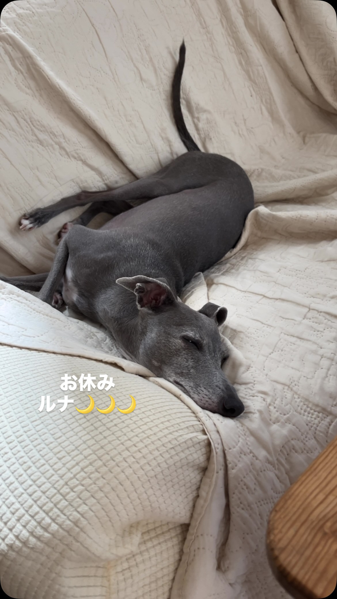 お休み🌙🌙🌙