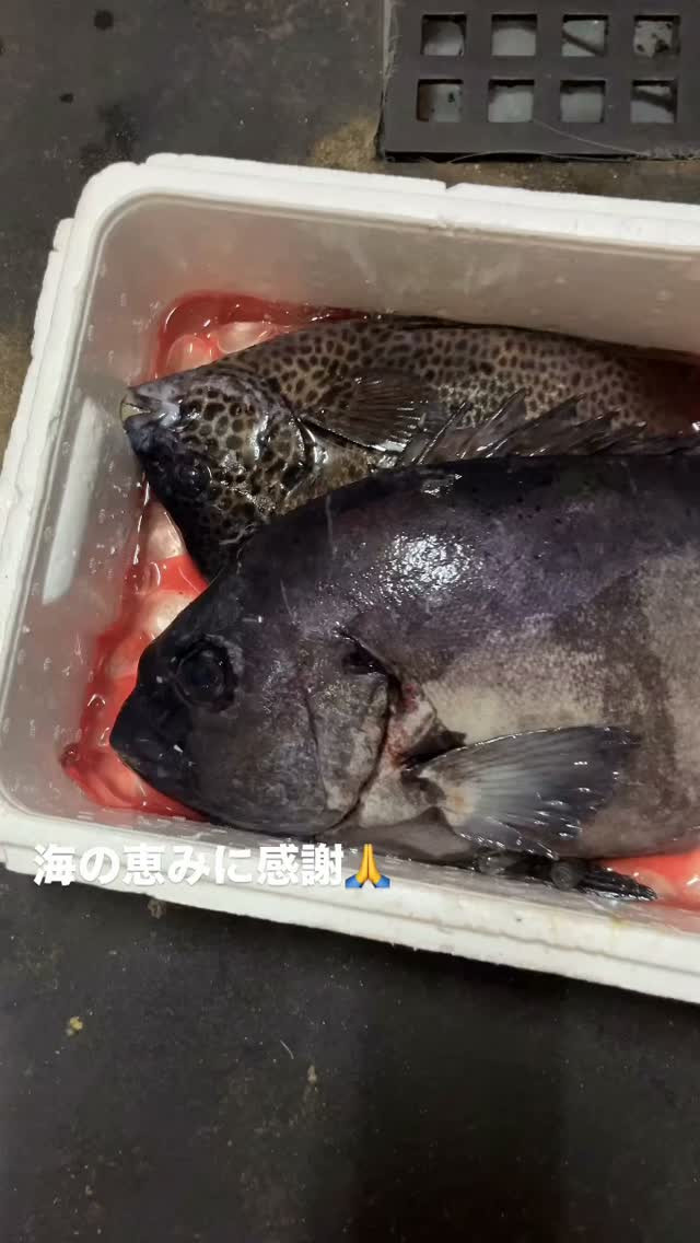 義理の息子から