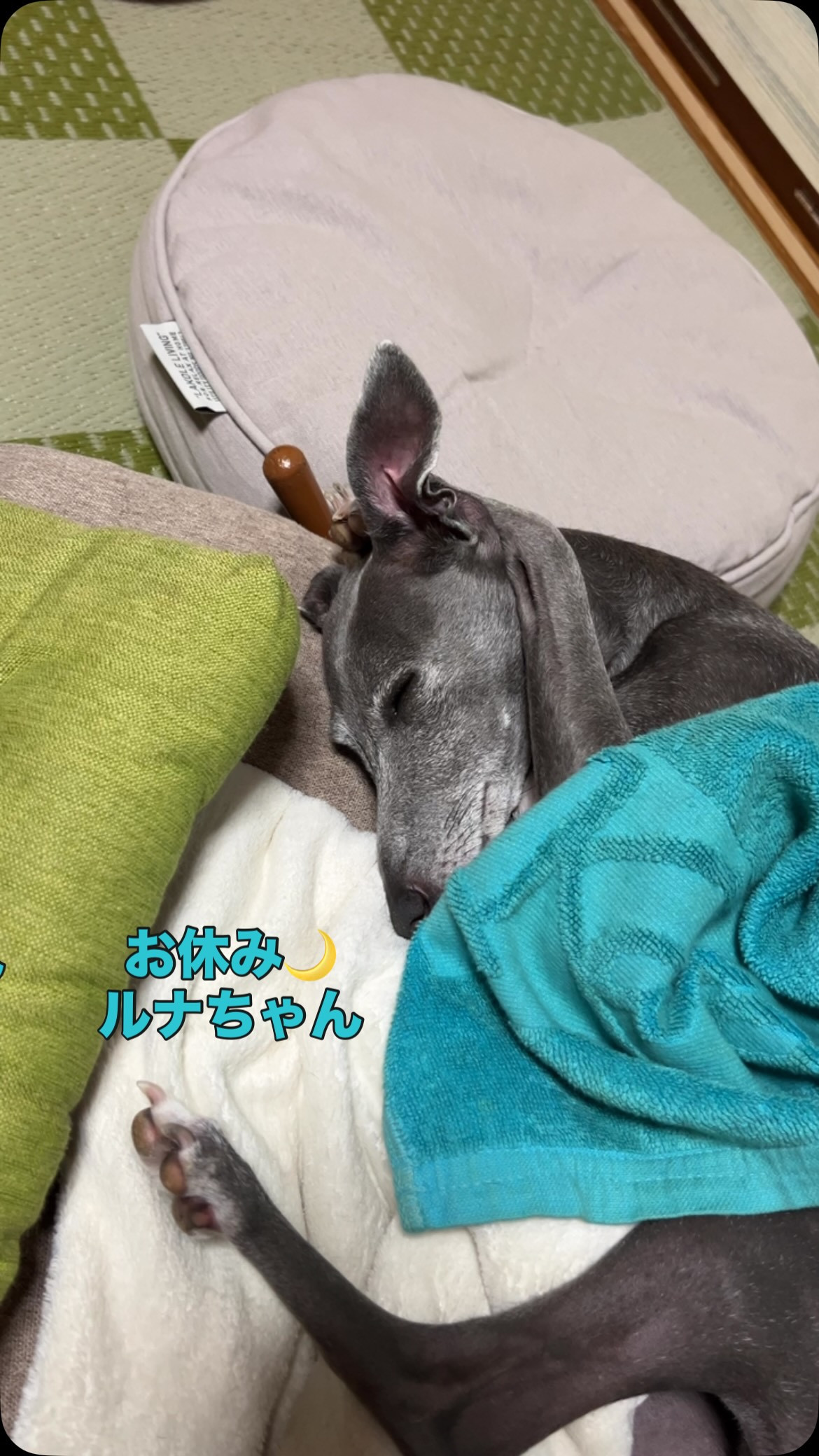 お休み
