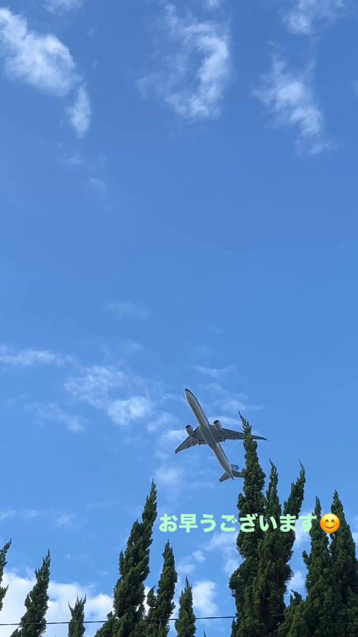 お早うございます