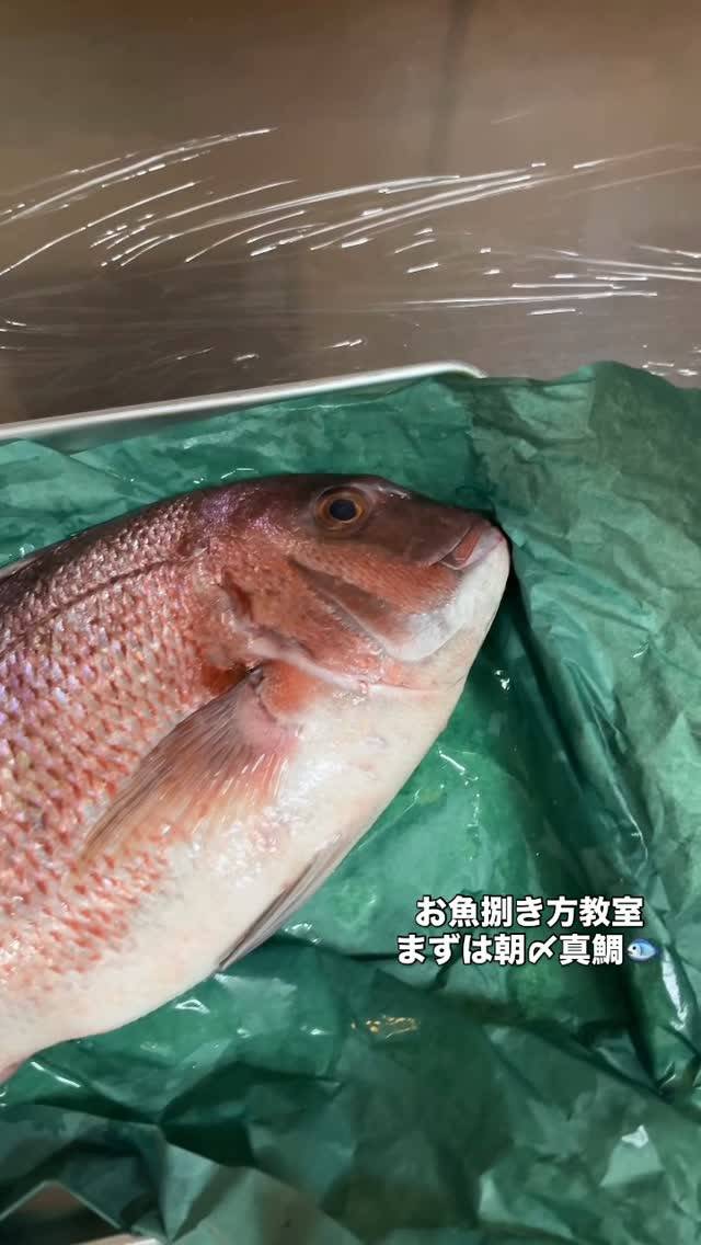 お魚捌き方教室