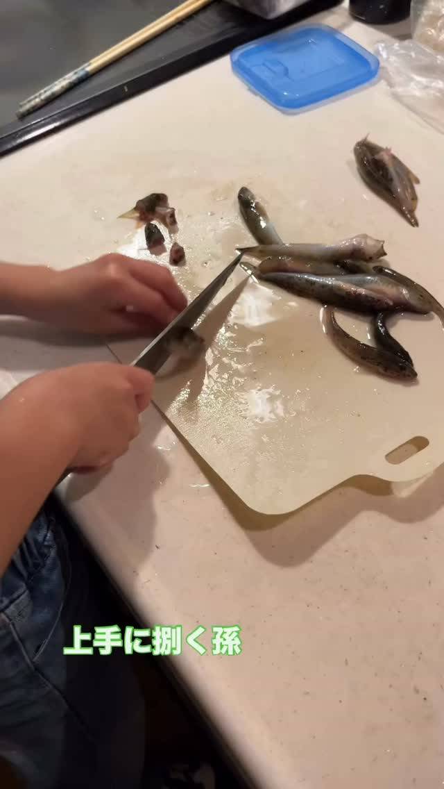 釣って来たハゼを